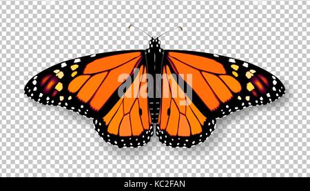 Realistic 3d Monarch butterfly. Colorful bright detailed mesh vector illustration with shadow on transparent background. Spring summer banner decorati Stock Vector