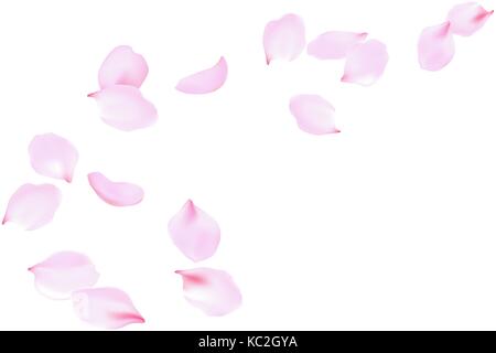 Flying soft pink rose petals. Delicate flowers blossom, blooming floating falling wind, vector background art Stock Vector