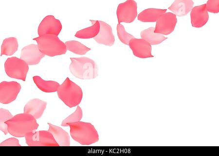 Falling rose petals bright pink blossom. Sakura cherry flying flowers. 3d realistic design. Vector illustration art Stock Vector
