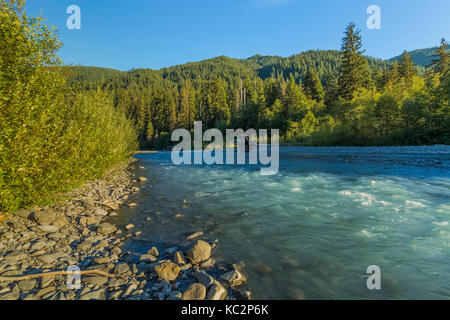 Hoh River at Happy Four Camp along Hoh River Trail to Blue Glacier, Olympic National Park, Washington State, USA Stock Photo