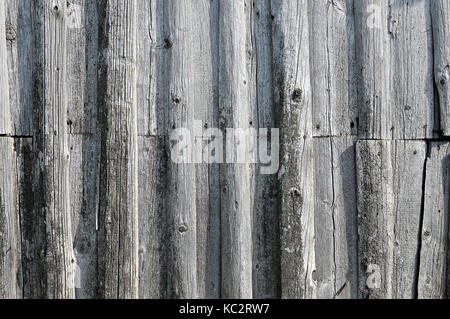 Texture of aged gray wooden fence panels. Rustic background. Stock Photo