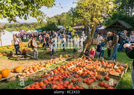 MERODE, GERMANY - SEPTEMBER 23, 2017 - People browse a farm market with pumpkins Stock Photo