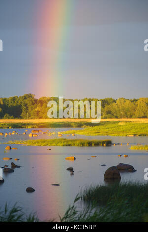 Rainbow over stony and grassy seacoast in sunset light Stock Photo