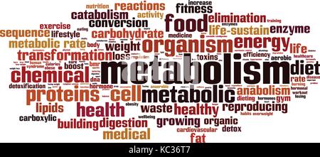 Metabolism word cloud concept. Vector illustration Stock Vector