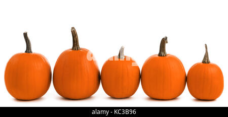 Five orange pumpkins in a row isolated on white background, Halloween concept Stock Photo