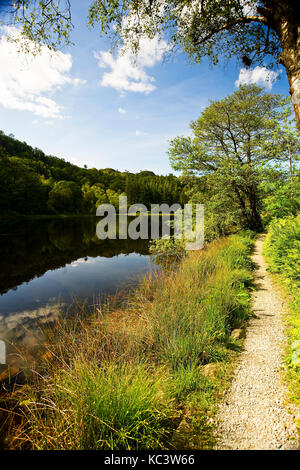 Autumn colours at Yew Tree Tarn In the Lake District National Park UK GB England SSI Stock Photo