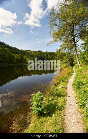 Autumn colours at Yew Tree Tarn In the Lake District National Park UK GB England SSI Stock Photo