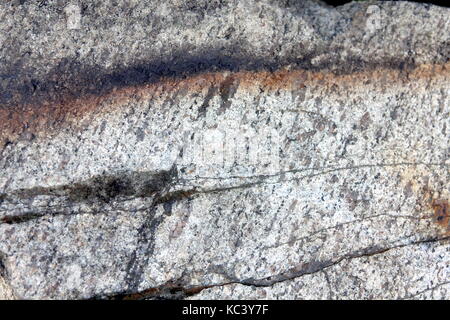 Close up of rock with pattern of cracks and stripes and colors Stock Photo