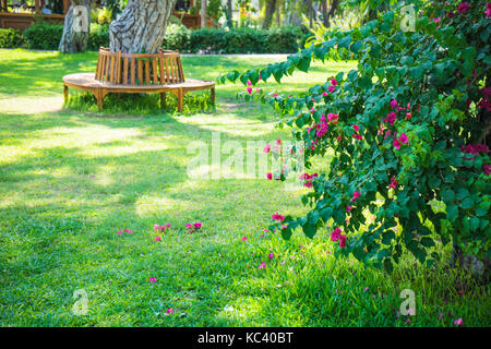 Old styled wooden park bench in a city park Stock Photo