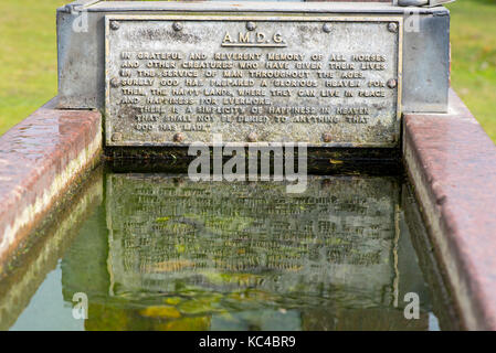 Stone cattle and pony water trough behind the cricket pavilion near Lyndhurst, New Forest, Hampshire, UK. Stock Photo