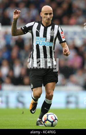 jonjo-shelvey-newcastle-united