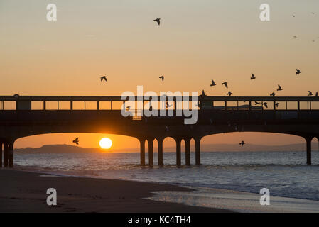 Boscombe Pier, Bournemouth, Dorset, UK, October. Glorious sunrise on the south coast with birds circling the pier above the beach. A brilliant sunny start to an autumn morning.