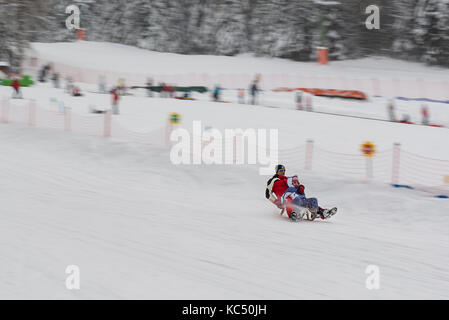 Italy, Trentino Alto Adige,  father and son playing with sled on the snow. Stock Photo