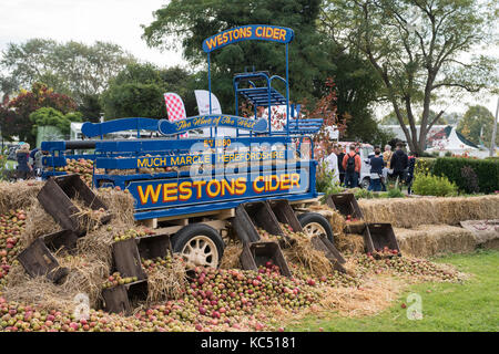 Westons Cider wooden cart and apples display at the Malvern autumn show, Worcestershire, UK Stock Photo