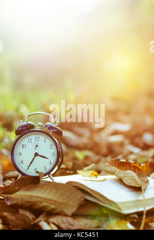 Hour and a book in the park on leaves, vintage photo, retro style Stock Photo