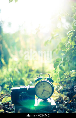 Hour and a book in the park on leaves, vintage photo, retro style Stock Photo