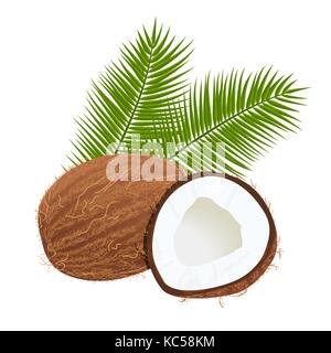 coconuts with palm leaves. Whole and cracked. isolated on the white background. realistic 3d Stock Vector