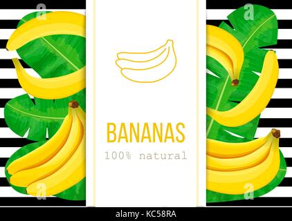 Ripe Bananas, tropical palm leaves with text 100 percent natural. Vertical label. black stripes. Stock Vector