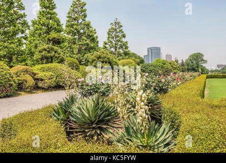 French Garden at Shinjuku Gyoen National Garden, Tokyo, Japan Stock Photo