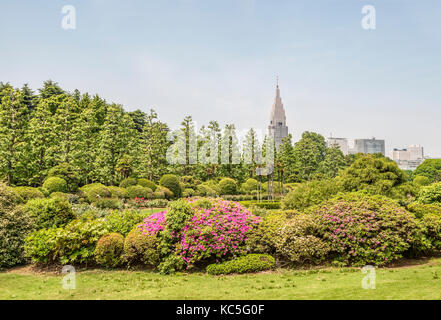 French Garden at Shinjuku Gyoen National Garden, Tokyo, Japan Stock Photo
