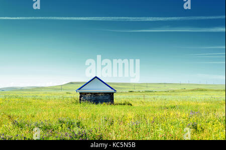 Single rustic log cabin in a field with lush green wild grasses and a blue summer sky with vapor trails Stock Photo