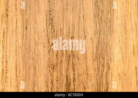 Hardwood Fossilized Bamboo Background Stock Photo