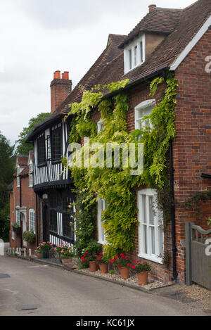 Wisteria sinensis growing over the front of a cottage Stock Photo
