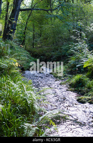 Colby Glen river Stock Photo - Alamy