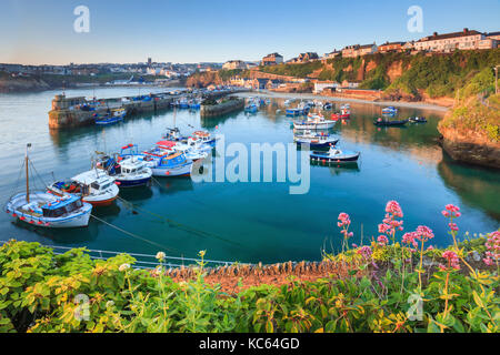 Newquay Harbour captured on a still morning,