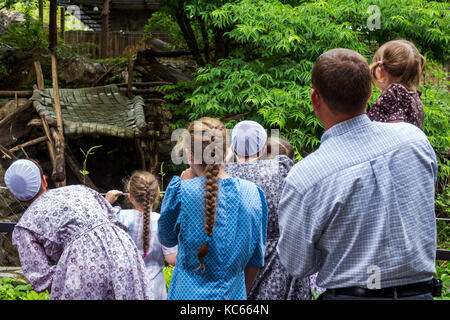 Washington DC,National Zoo,Giant Panda,exhibit exhibition collection Mennonite,family families parent parents child children,traditional dress,father Stock Photo