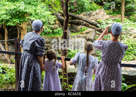 Washington DC,National Zoo,Giant Panda,exhibit exhibition collection Mennonite,family families parent parents child children,traditional dress,mother, Stock Photo