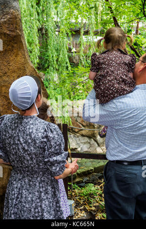 Washington DC,District of Columbia,National Zoo,Giant Panda,exhibit exhibition collection,Mennonite,family families parent parents child children,trad Stock Photo