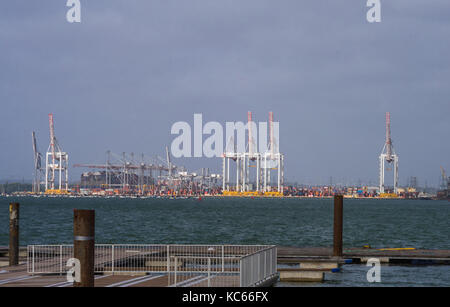 Container cranes and gantry cranes at the Western Docks in the port of Southampton 2017, England, UK Stock Photo