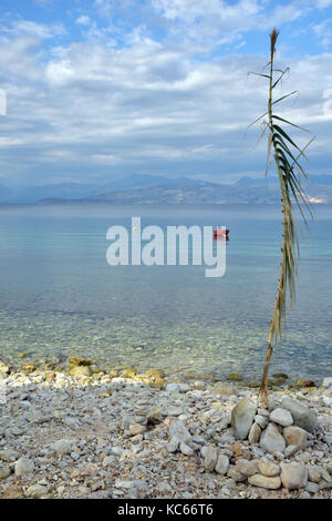 A pebbled beach in the Mediterranean Sea on the coast of Corfu near kassiopi with a bamboo cane erected on the beach next to the clear water and stone Stock Photo