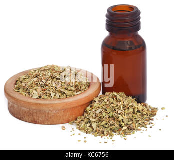 Dry oregano and essential oil in an amber bottle Stock Photo