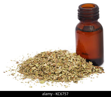 Dry oregano and essential oil in an amber bottle Stock Photo