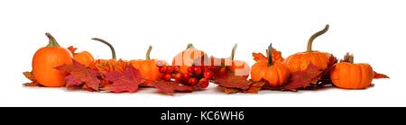 Long border of mini pumpkins and red fall leaves isolated on a white background Stock Photo