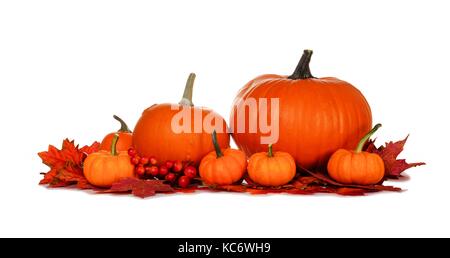 Autumn pumpkins and red fall leaves isolated on a white background Stock Photo