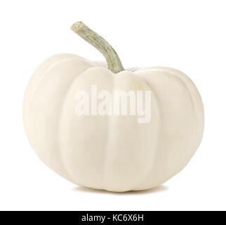 Single white mini pumpkin isolated on a white background Stock Photo