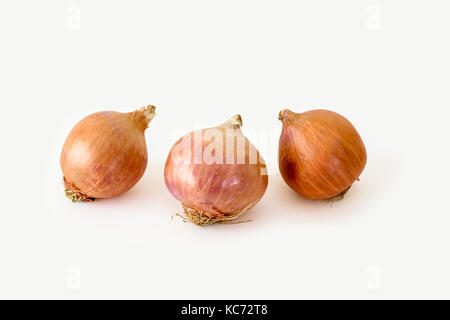 Three whole ripe onions on a white background Stock Photo