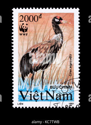 Postage stamp from Vietnam depicting  black-necked crane (Grus nigricollis) Stock Photo