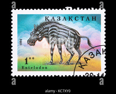 Postage stamp from Kazakhstan depicting a an entelodon Stock Photo