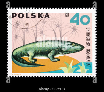 Postage stamp from Poland depicting ichthyostega Stock Photo