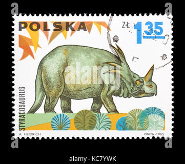 Postage stamp from Poland depicting styracosaurus Stock Photo