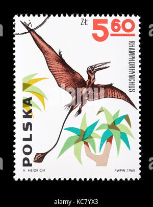 Postage stamp from Poland depicting Rhamphorhynchus Stock Photo