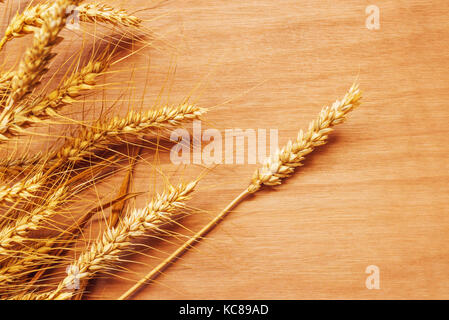 Rye wheat ears on plywood background, harvested cereal crops Stock Photo