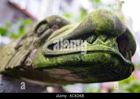 Ornaments, mouldings, gargoyle, low reliefs in a sandstone, granite, concrete. sculpting details in Gdansk (Danzig).  Mariacka street (Mariengasse) an Stock Photo