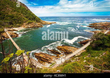 In the Tsitsikamma National Park South Africa Stock Photo