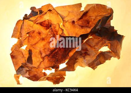 Rustic old scrumpled piece of paper Stock Photo