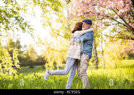 Beautiful senior couple in love on a walk outside, enjoying spring nature under blossoming trees. Man and woman having fun. Stock Photo